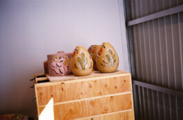 Mr. Wren & Friends